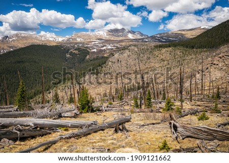 Landscape in the Mount Evans Wilderness, Colorado