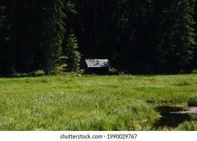 Landscape In Mount Hood National Forest, Oregon