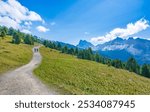  Landscape at Mount Plose in Trentino Alto Adige. South Tyrol, Italy.