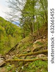 Landscape with mountain and deciduous forest in the spring                               