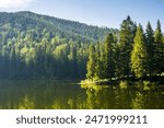 landscape with mountain lake of synevyr national park. green carpathian nature scenery in summer. coniferous forest on the hill reflecting in the water. popular travel destination of ukraine