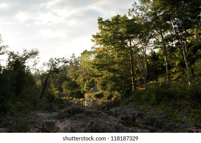 Landscape In Mountain Pine Ridge Forest Reserve, Belize