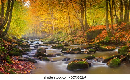 Landscape mountain river in autumn forest at sunlight. Fast jet of water at slow shutter speeds give a beautiful magic effect. 
