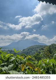 landscape with mountain, trees and clouds