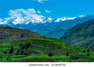 landscape of mountainous Dagestan with terraced fields and snowy peaks in the distance - Shutterstock ID 2174549753
