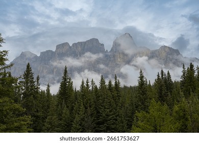 Landscape with Mountainpeaks, Pine Trees and Low Hanging Clouds. 
