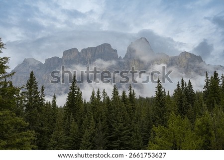 Landscape with Mountainpeaks, Pine Trees and Low Hanging Clouds. 