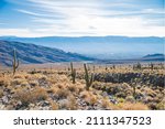 Landscape of mountains and cactus in Calchaquí Valleys of Tucumán, Argentina	
