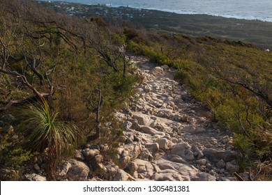 Landscape In The Mountains Rock Stone Foot Path Trail Mount Coolum Australia Sunshine Coast