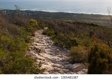 Landscape In The Mountains Rock Stone Foot Path Trail Mount Coolum Australia Sunshine Coast