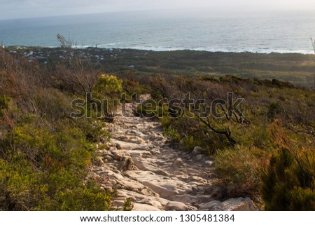 landscape in the mountains rock stone foot path trail Mount Coolum Australia Sunshine Coast