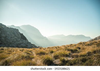 landscape of mountains and sunset with trees in the sierra de tramuntana spain mallorca - Powered by Shutterstock