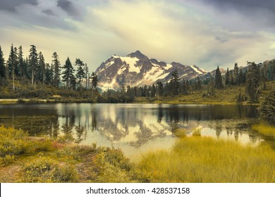 30,800 Washington state forest Images, Stock Photos & Vectors ...
