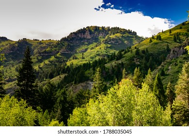 Landscape At Mt. Timpanogos, Utah