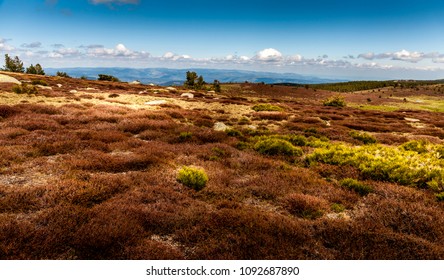 Landscape Of Cévennes National Park In Lozere District, France