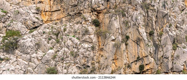 Landscape, Natural Texture - Sheer Mountain Cliff With Cracks And Vegetation

