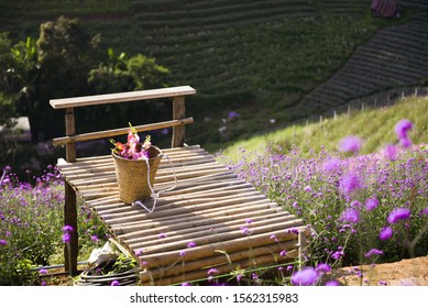 Bilder Stockfotos Und Vektorgrafiken Terasse Blumen Shutterstock