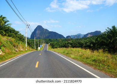 Landscape nature road to Samet Nangshe Viewpoint is the fantastic limestone formations on the bay  with green mangrove forest panoramic viewpoint in Phang Nga Bay in sunny day locate at Phang Nga