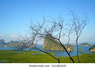 Landscape nature of Samet Nangshe Viewpoint is the fantastic limestone formations on the bay  with green mangrove forest panoramic viewpoint in Phang Nga Bay in sunny day locate at Phang Nga Thailand