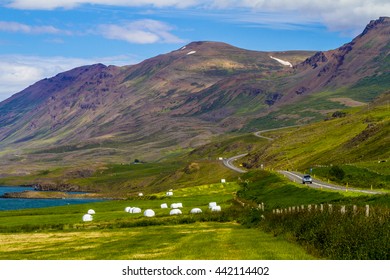 Landscape Near Akureyri, Iceland