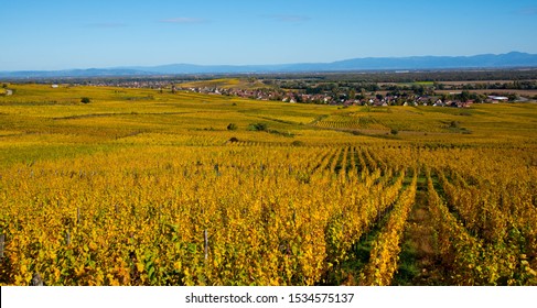 landscape near Eguishei in Alsace in France in autumn - Shutterstock ID 1534575137