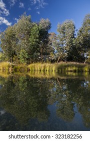 Landscape Near National Gallery. Canberra. Australia