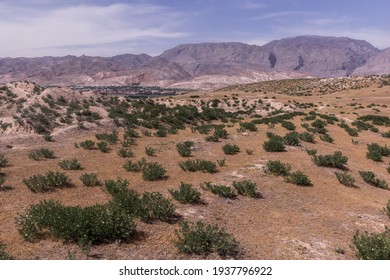 Landscape Near Penjikent In Tajikistan