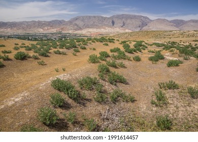 Landscape Near Penjikent In Tajikistan