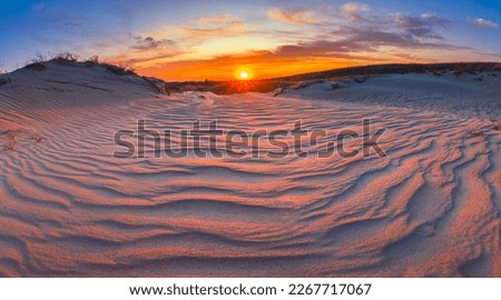 Landscape in Nida resort. Lithuania. Waves of the Dead dunes. Natural landscape