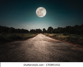 Landscape of night sky and bright full moon above wilderness area. Asphalt road leading into the forest at night. Serenity background.  - Shutterstock ID 1703851552