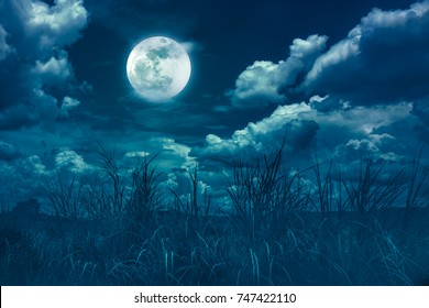 Landscape of night sky with clouds. Beautiful bright full moon above wilderness area in forest, serenity nature background. Outdoors at nighttime. The moon taken with my own camera.