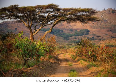 Landscape In Nyika National Park - Malawi