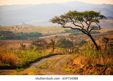 Landscape In Nyika National Park - Malawi