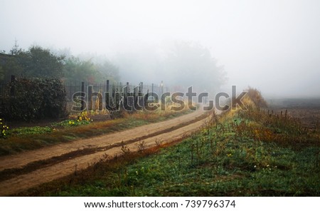 Landscape with an old country road through the field and gardens at foggy autumn morning. Back country of Pokrov city, Ukraine