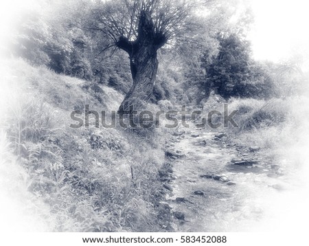 Similar – Foto Bild winterlich XI Landschaft