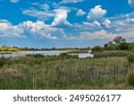 Landscape on the banks of the Okavango River in northern Namibia