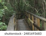 Landscape On THe Edward Ball Nature Trail Pensacola Florida