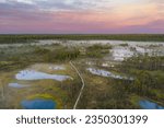 Landscape on the Estonian Viru swamp in the early summer morning. High quality photo