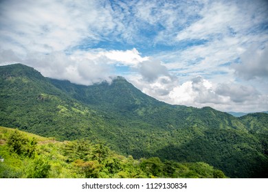 Landscape on mountain with tree and cloud