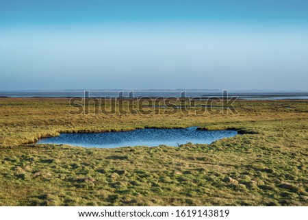 Similar – a tideway leads through the blooming salt marshes on Hallig Gröde