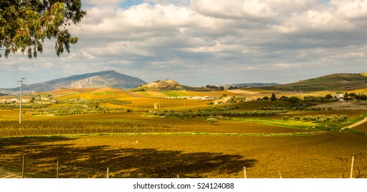 Landscape On The Road From Palermo To Trapani, Erice Is On The Top Of The Distance Hill Making It Obvious Choice For Fortified Habitation Since 5000 BC. Erica, Trapani Region, Sicily, Italy