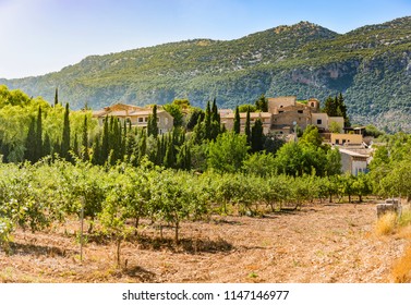 Landscape Of Orient Village, In Mallorca