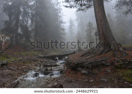 landscape outdoor image, from Fairy Meadows Pakistan
