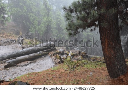 landscape outdoor image, from Fairy Meadows Pakistan