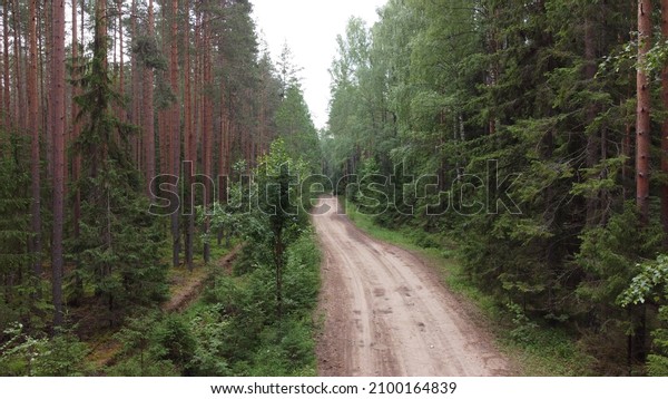 Landscape\
overlooking a forest road, dense\
forest