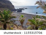 Landscape with palm trees on the beach of Bollullo on the north coast of Tenerife, Canary Islands