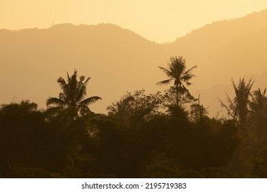 Landscape of palm trees and the sunset mountains of Lore Lindu national park, near Bomba, South Lore, Poso Regency, Central Celebes, Indonesia - Shutterstock ID 2195719383
