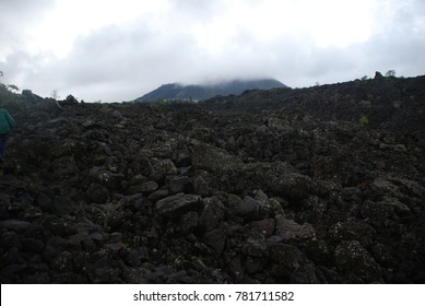 Landscape In Paricutin