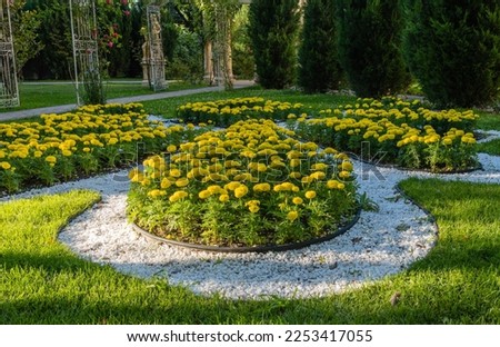 Landscape park of resort city of Gelendzhik. Original flower bed with yellow flowers inside. White stone paths are laid around flower beds. Flowerbeds in center of grassy lawn. Atmosphere of rest.