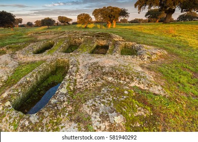 Landscape in pasture, the graves are archaeological remains of IV century AD approximately. Arroyo de la luz. Spain.